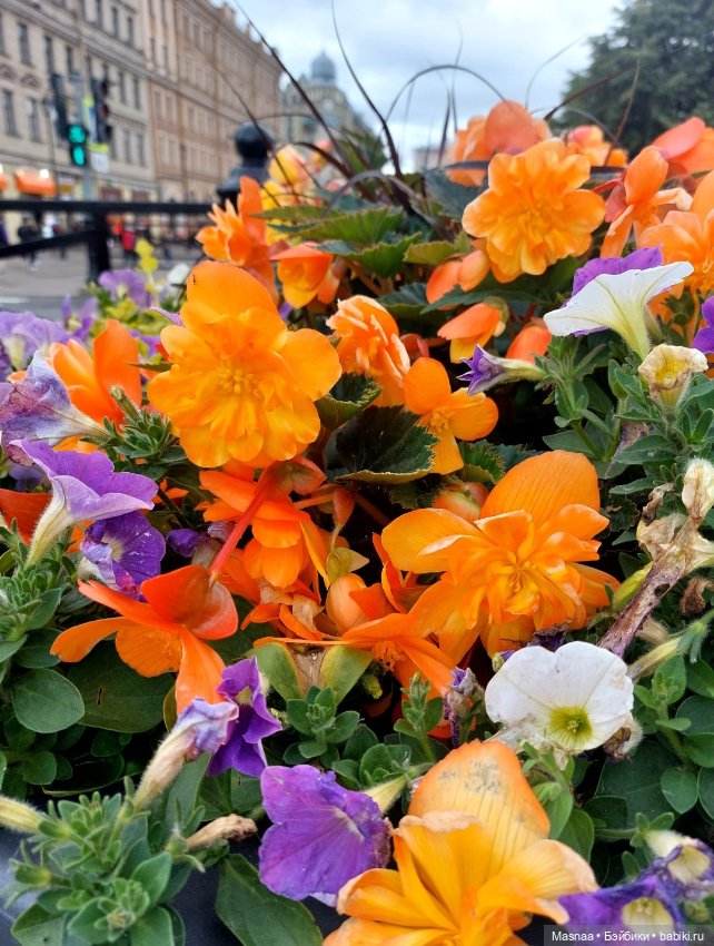 Луна на Садовой — Домашние фото авторских кукол: личные коллекции (фото 2)