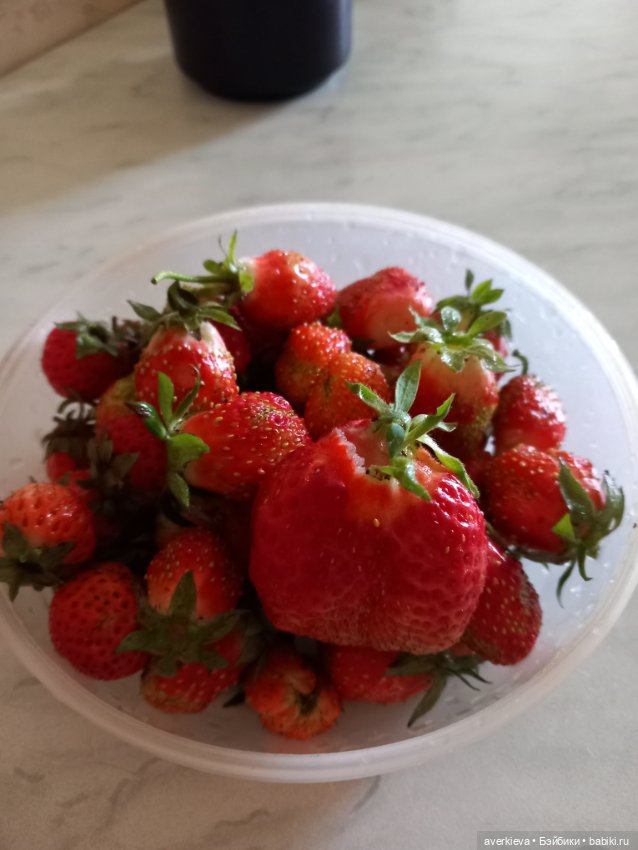 Наш пострел везде поспел — Коллекционные фигурки (разное): животные (фото 9)