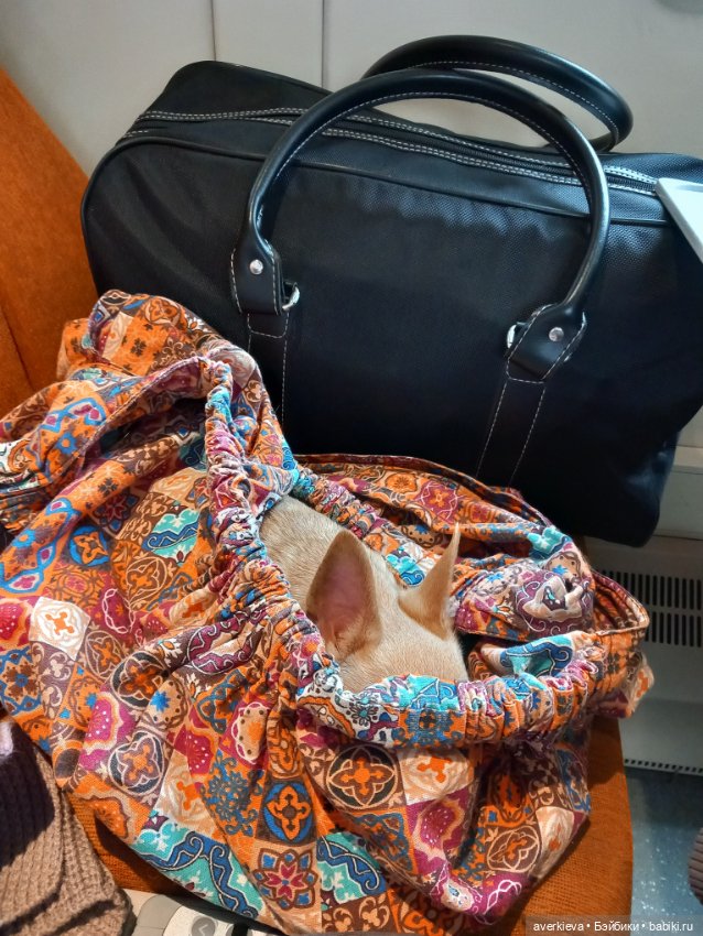 Наш пострел везде поспел — Коллекционные фигурки (разное): животные (фото 8)