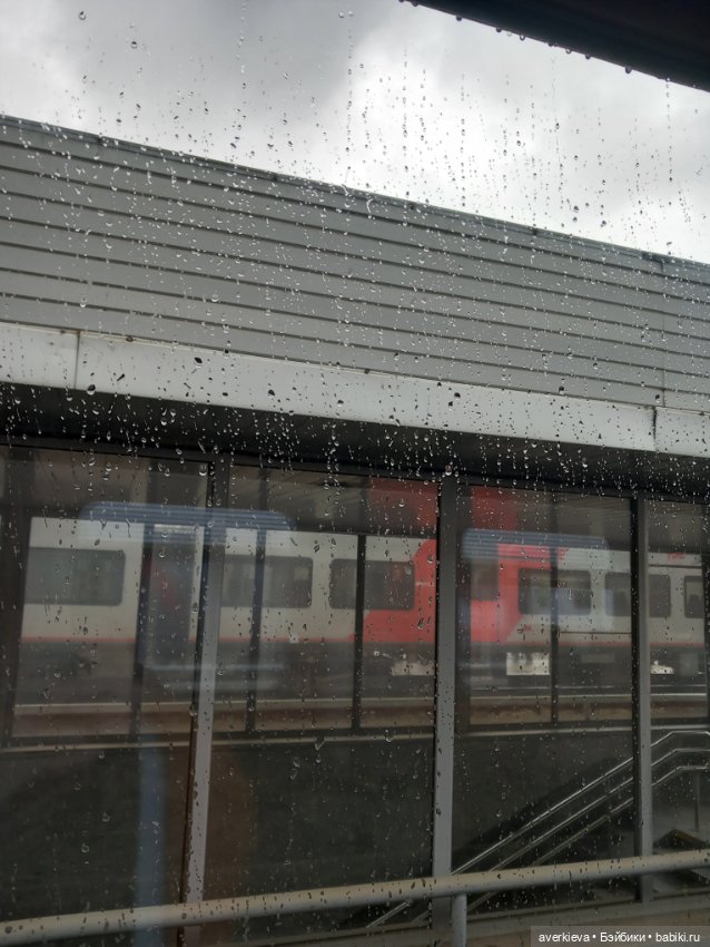 Наш пострел везде поспел — Коллекционные фигурки (разное): животные (фото 7)