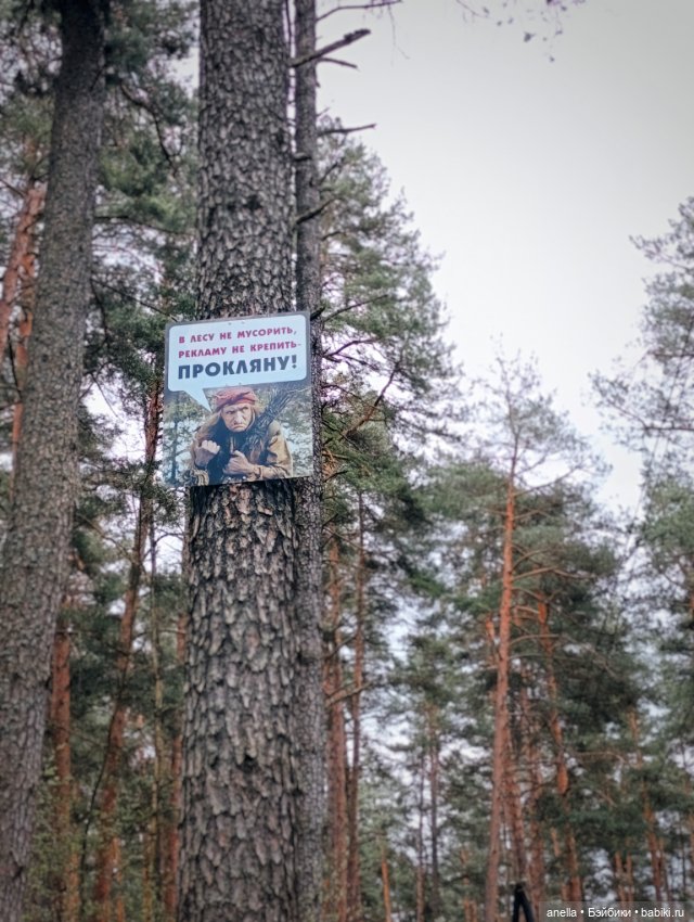 Дик. Весеннее — Экшн