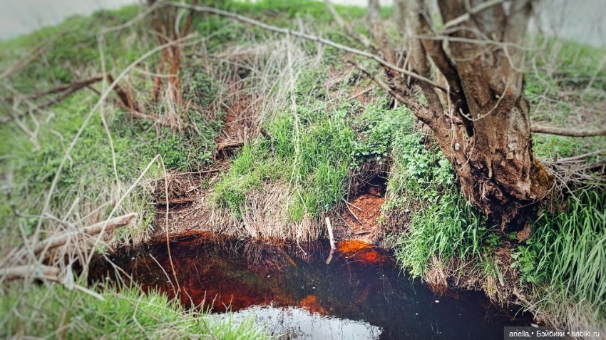 Дик. Весеннее — Экшн