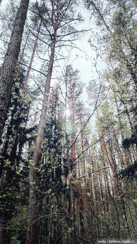 Дик. Весеннее — Экшн