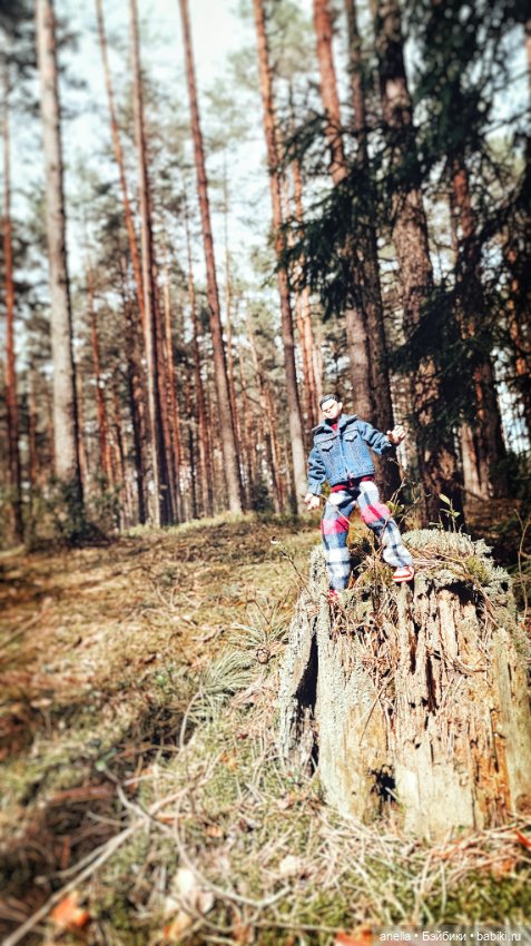 Дик. Весеннее — Экшн (фото 3)