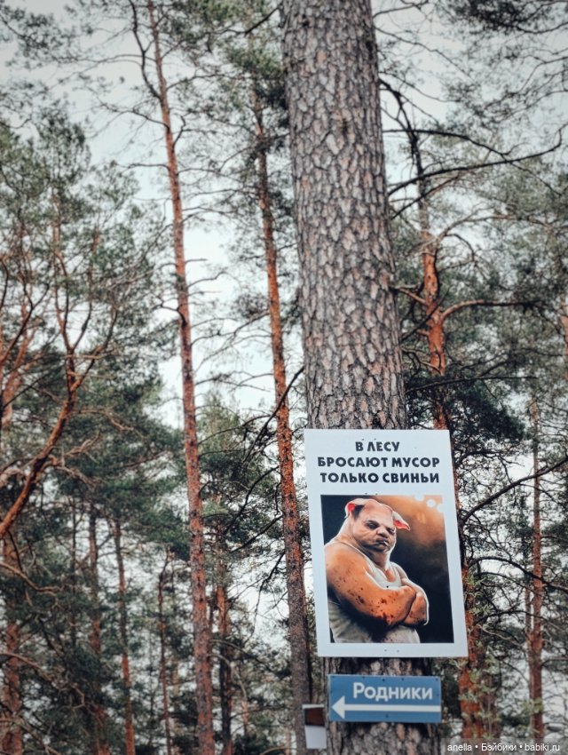 Дик. Весеннее — Экшн