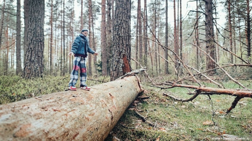 Дик. Весеннее — Экшн