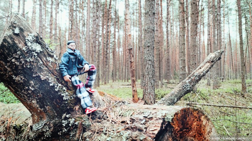 Дик. Весеннее — Экшн (фото 4)