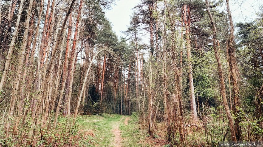 Дик. Весеннее — Экшн