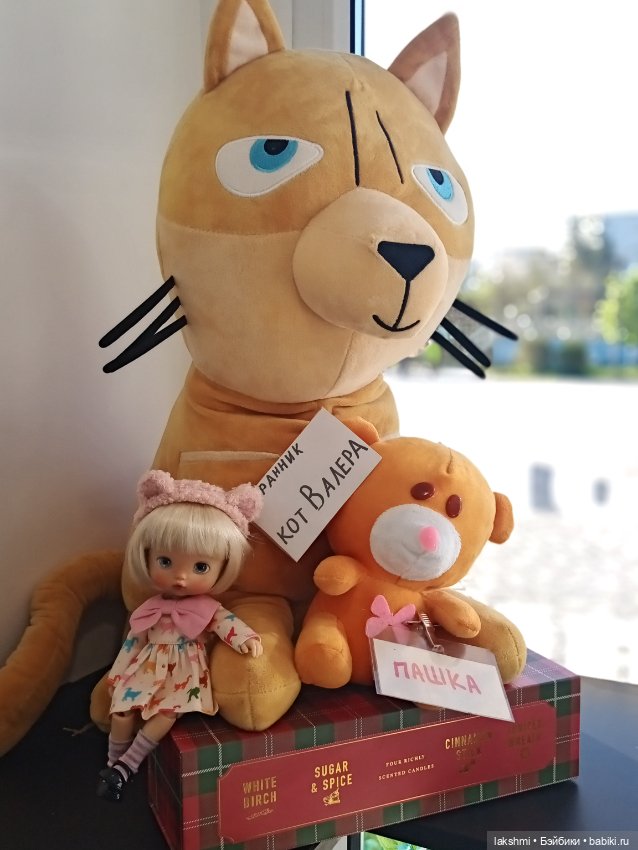 Рисса в Волгограде — Разные куклы BJD (БЖД): редкие бренды