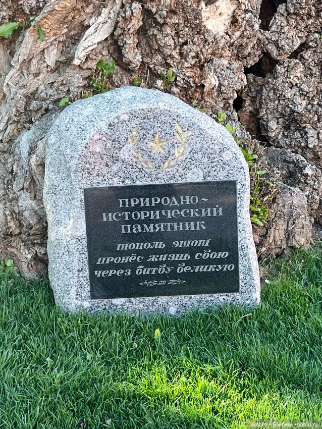 Рисса в Волгограде — Разные куклы BJD (БЖД): редкие бренды (фото 9)