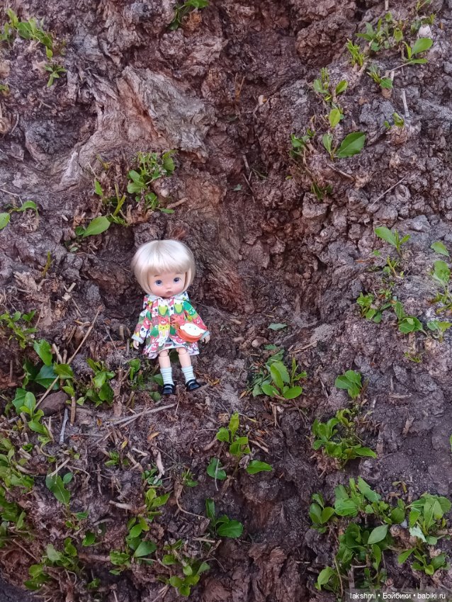 Рисса в Волгограде — Разные куклы BJD (БЖД): редкие бренды (фото 10)