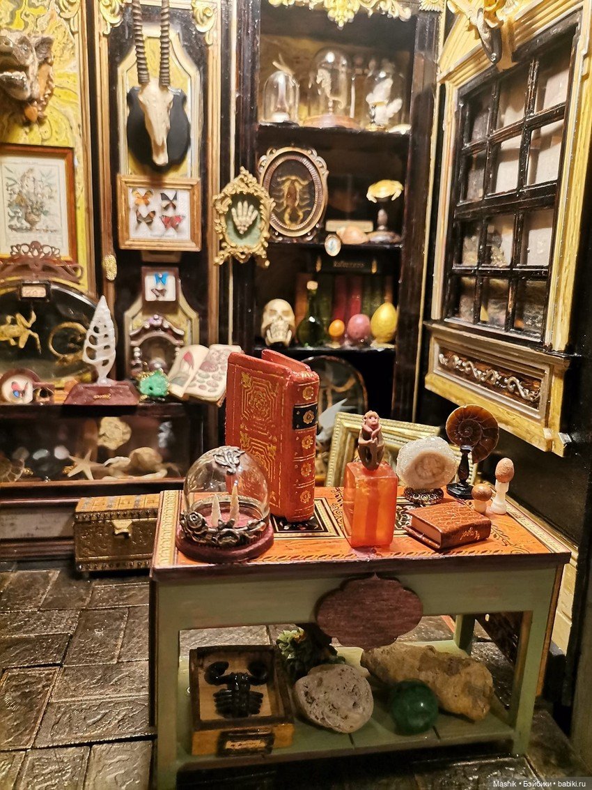 Кабинет натуралиста от Сусаны Лопес дель Торо (фото 2)