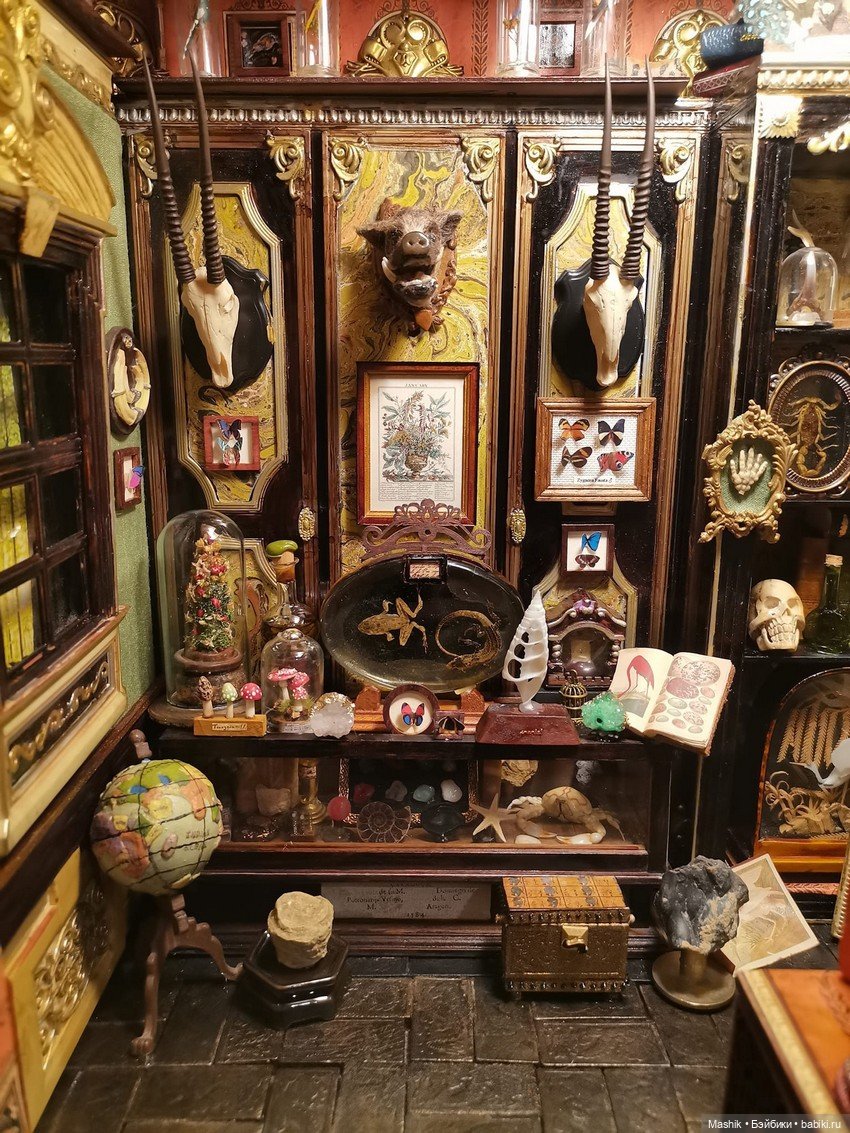 Кабинет натуралиста от Сусаны Лопес дель Торо