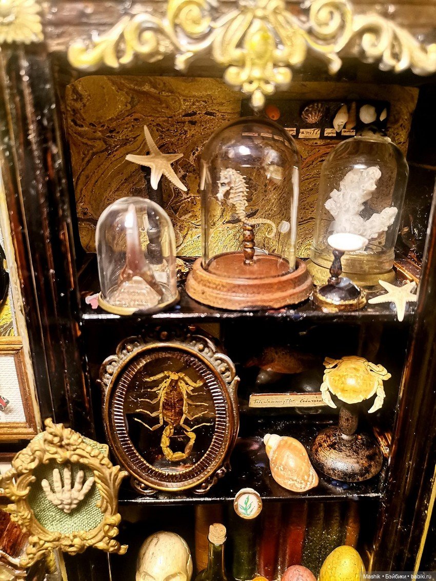 Кабинет натуралиста от Сусаны Лопес дель Торо (фото 4)