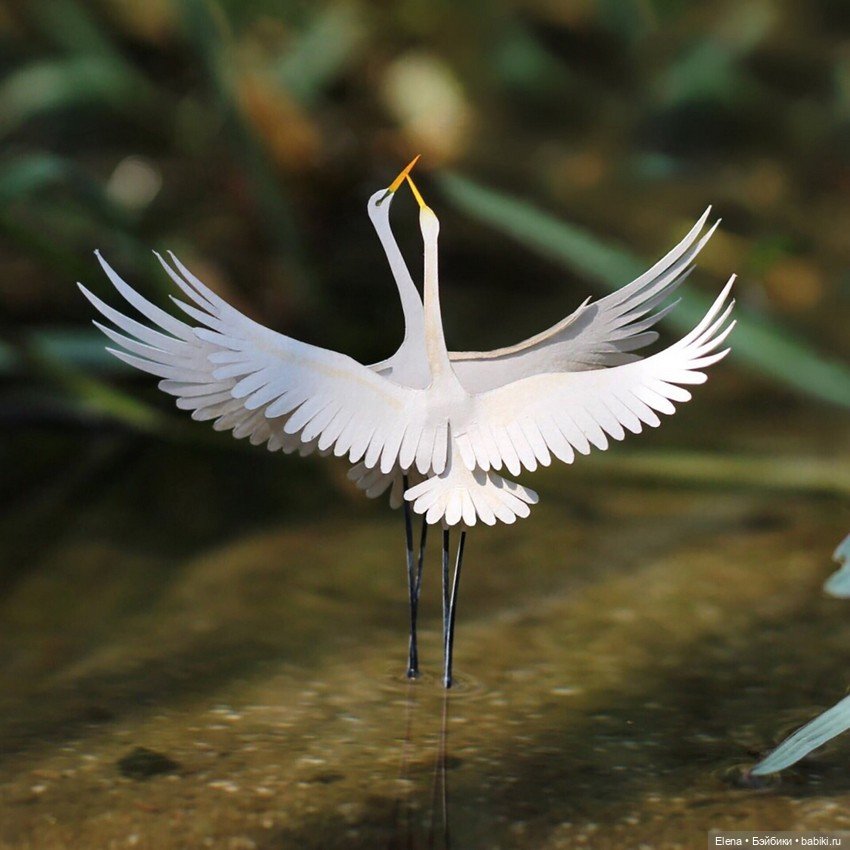 Бумажные миниатюры творческого дуэта Наяны Шримали и Венеры Берд (фото 2)