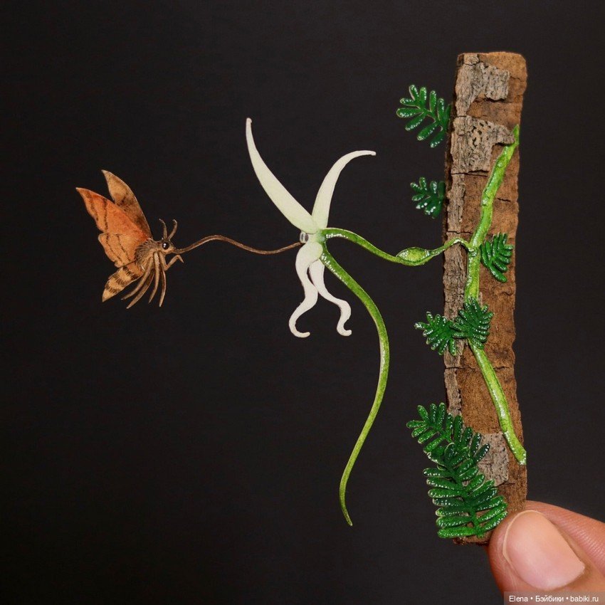 Бумажные миниатюры творческого дуэта Наяны Шримали и Венеры Берд (фото 3)