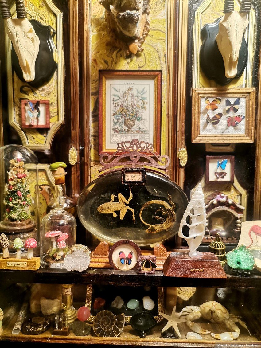 Кабинет натуралиста от Сусаны Лопес дель Торо (фото 3)