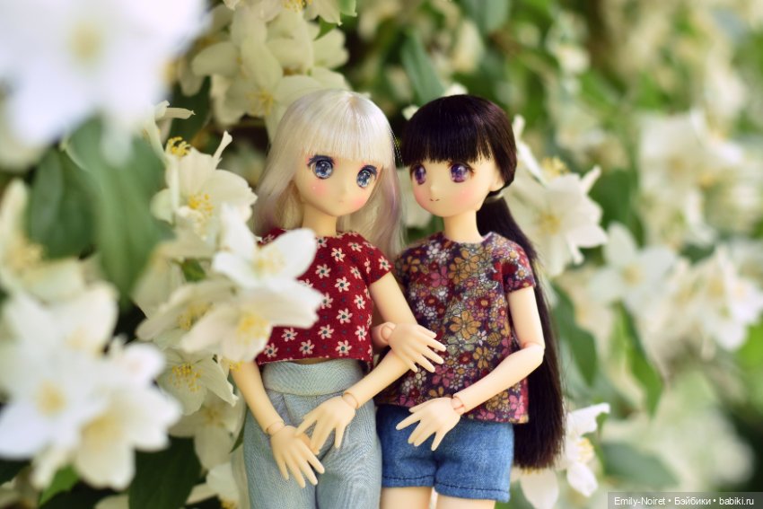 Летняя дружба — Куклы Azone (Азон) и тела Pure Neemo: фото (фото 9)