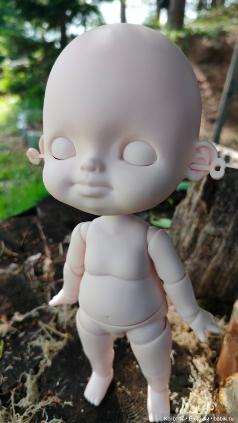Обзор куклы YMY 1/6 — Разные куклы BJD (БЖД): редкие бренды (фото 2)