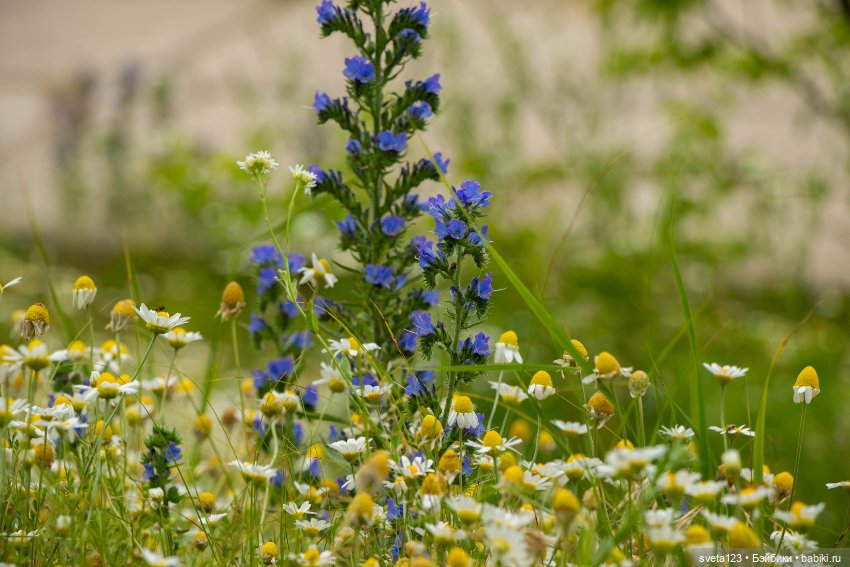 Мои сладкие булочки ❤️❤️❤️