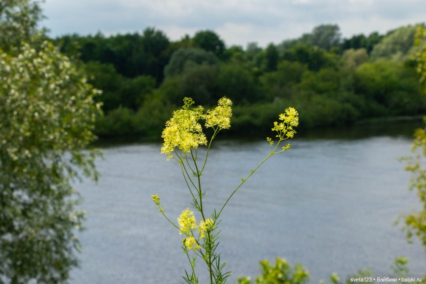 Мои сладкие булочки ❤️❤️❤️