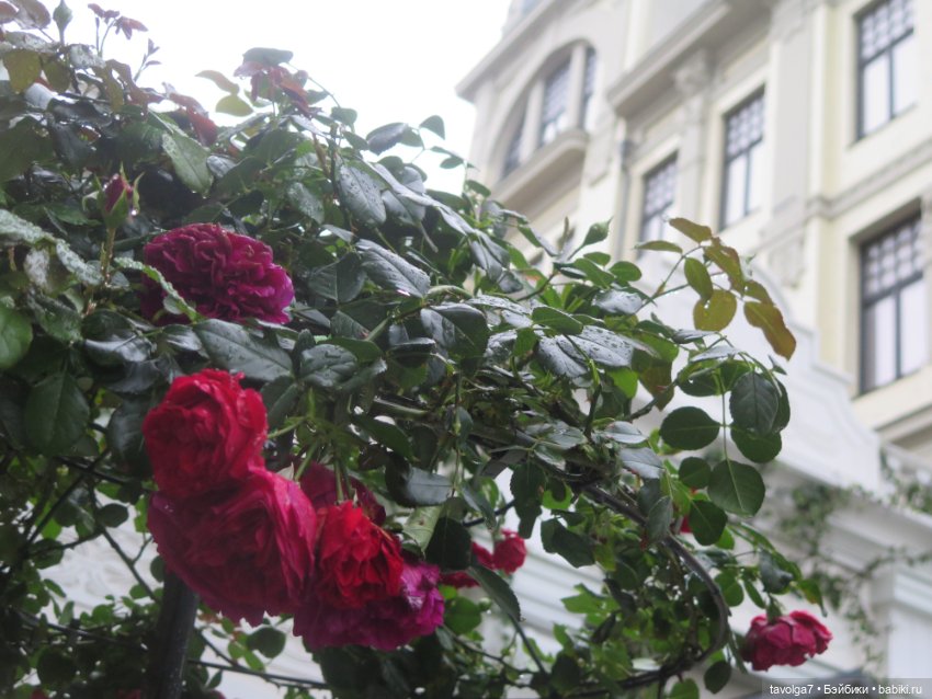 Лисичка Enchantimals на фоне витрин Hermès