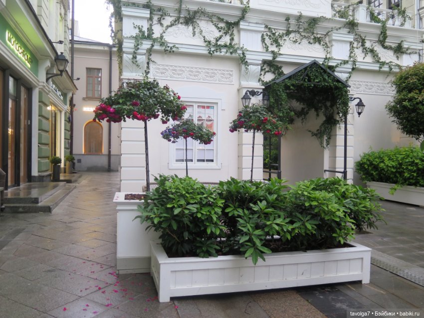 Лисичка Enchantimals на фоне витрин Hermès (фото 2)