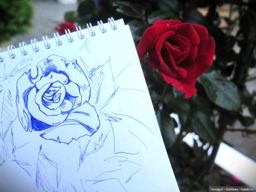 Лисичка Enchantimals на фоне витрин Hermès