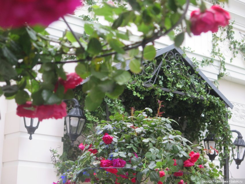 Лисичка Enchantimals на фоне витрин Hermès