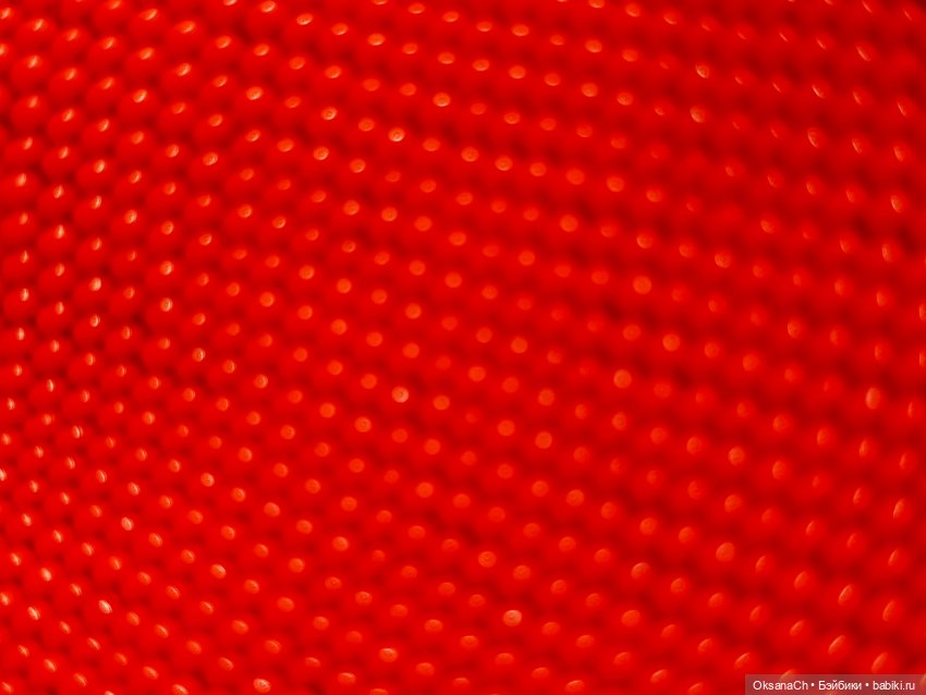 Он самый — Другие хобби и увлечения: сад (фото 5)