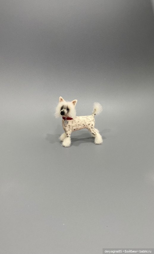 Китайская хохлатая собака (фото 10)