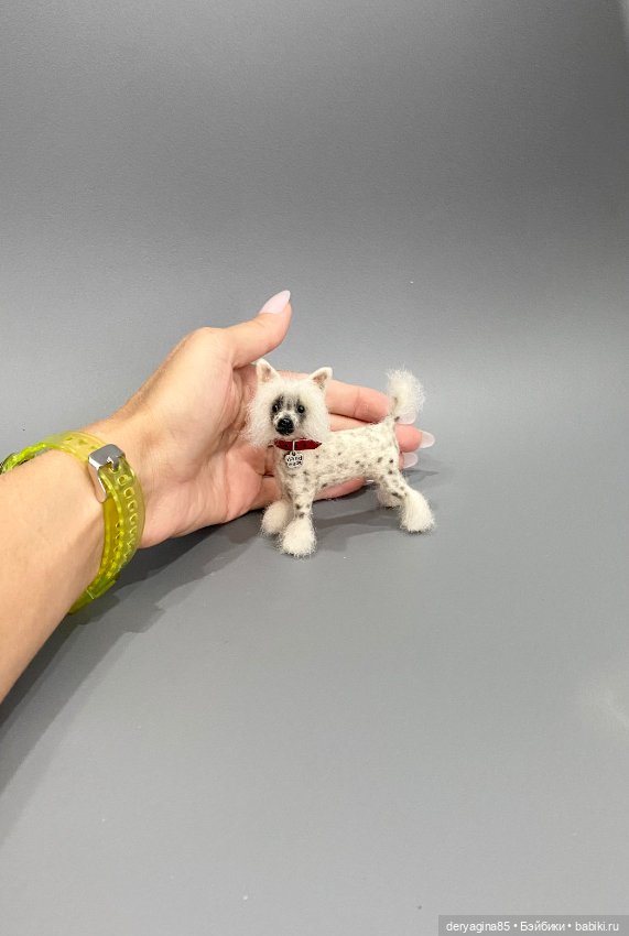 Китайская хохлатая собака (фото 2)