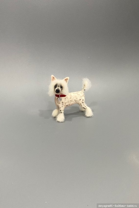 Китайская хохлатая собака (фото 3)