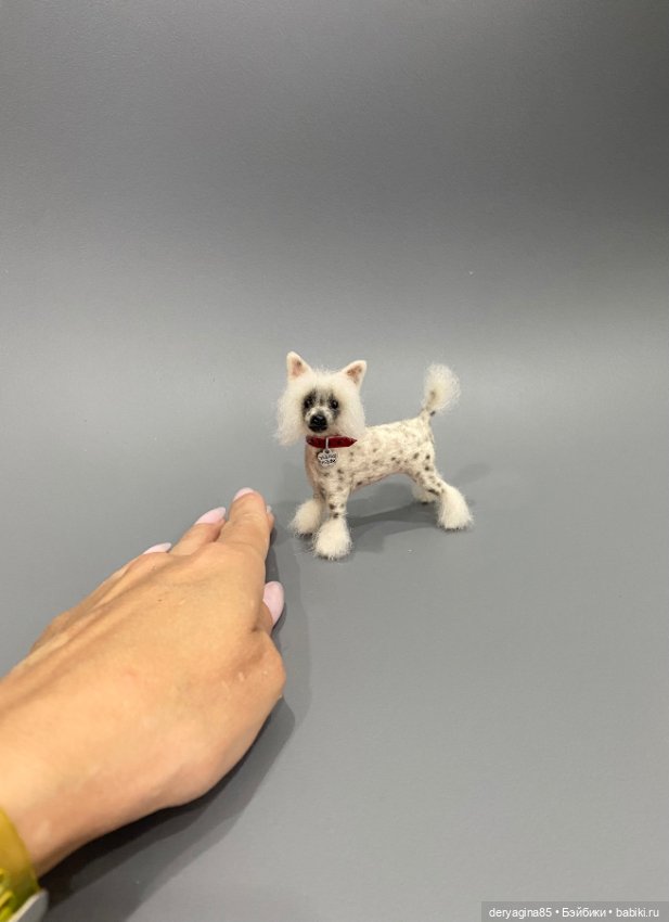 Китайская хохлатая собака