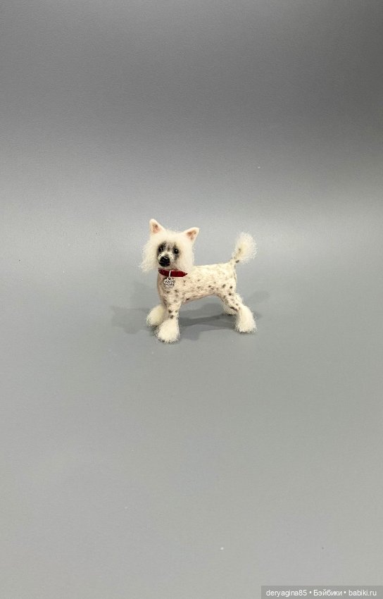 Китайская хохлатая собака