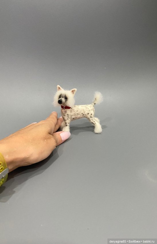 Китайская хохлатая собака