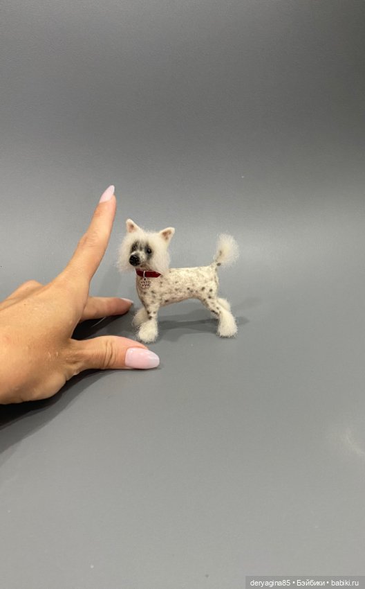 Китайская хохлатая собака