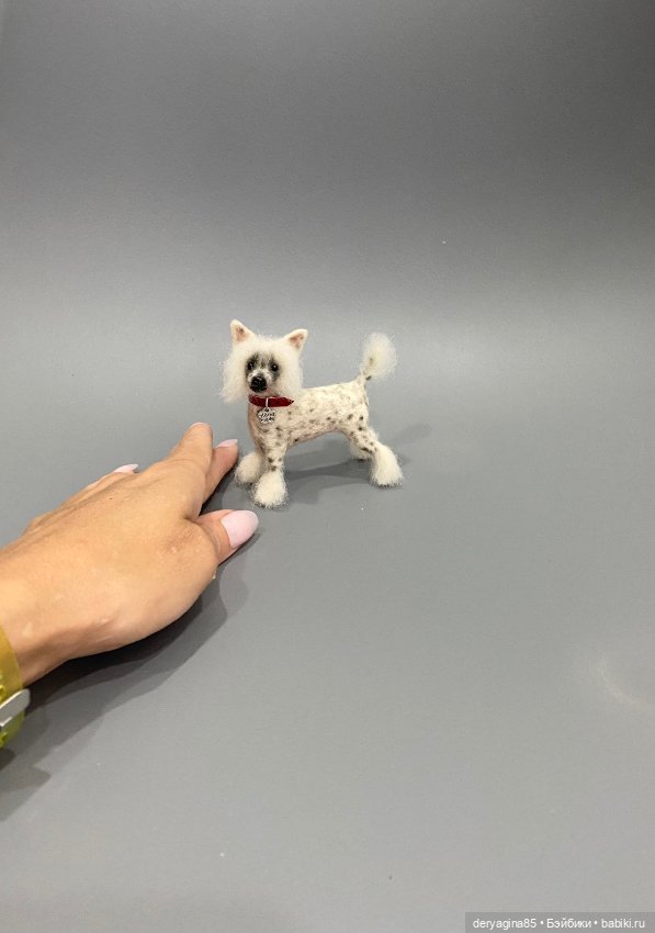 Китайская хохлатая собака