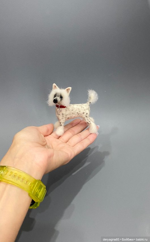 Китайская хохлатая собака (фото 5)