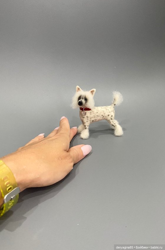 Китайская хохлатая собака