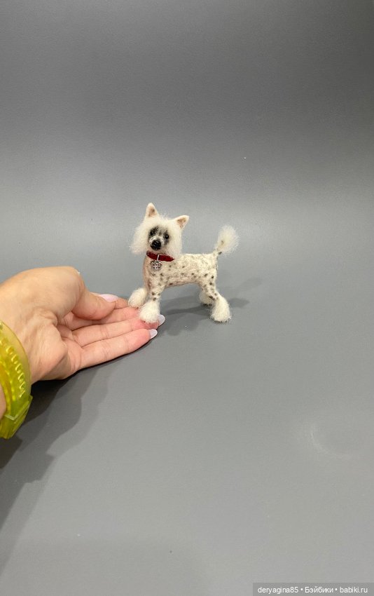 Китайская хохлатая собака