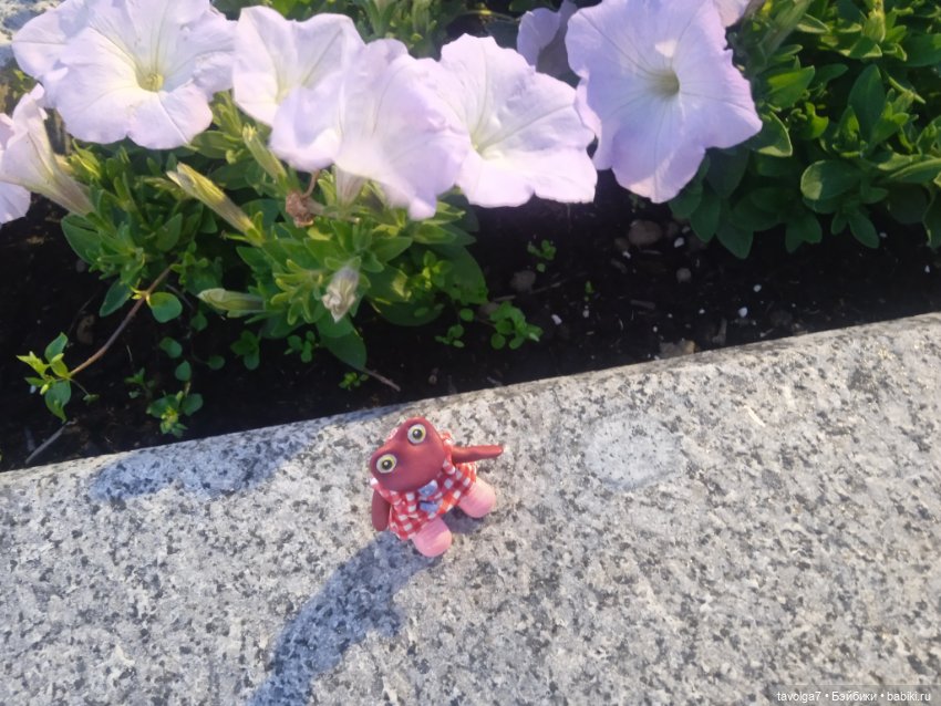 Лахта 1 июля 2025 — Туризм и путешествия: фотоотчеты из поездок (фото 5)