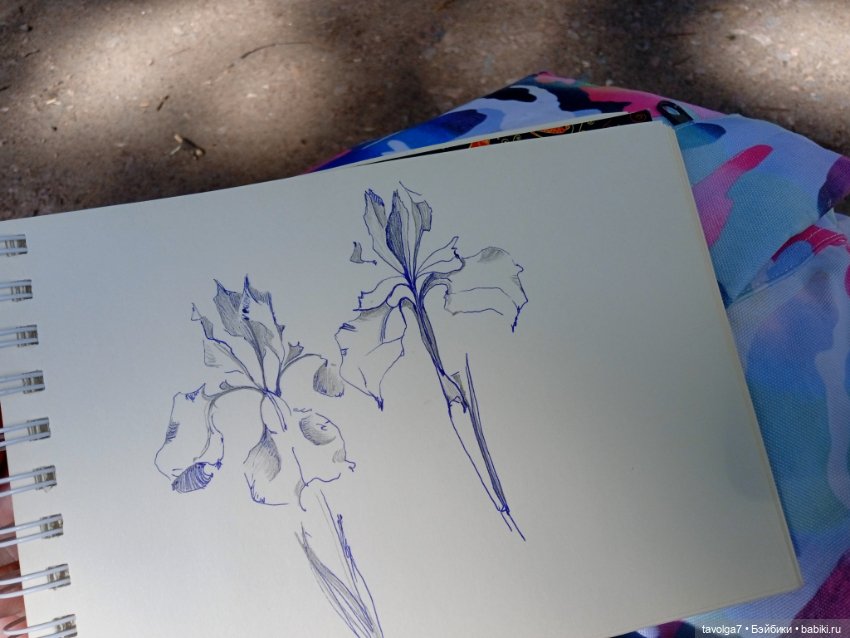 Ботсад Петра Великого 2.7.2025 (фото 8)