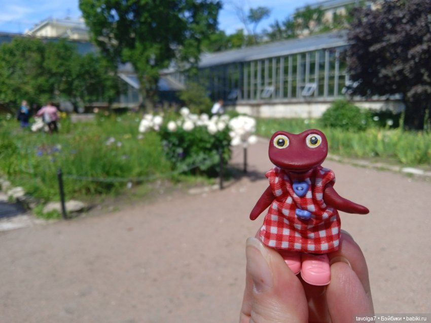 Ботсад Петра Великого 2.7.2025