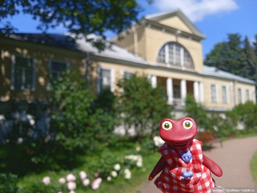 Ботсад Петра Великого 2.7.2025 (фото 2)