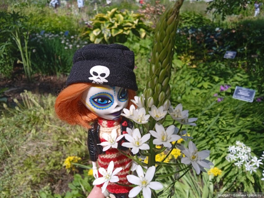 Ботсад Петра Великого 2.7.2025 (фото 3)