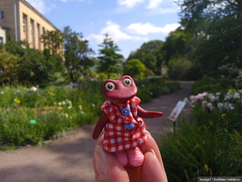 Ботсад Петра Великого 2.7.2025