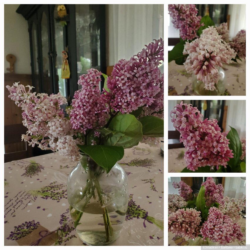 Винтажные куклы ГДР (Немки): Бигги (фото 8)