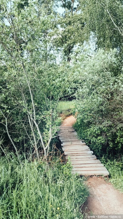 Дик. Железная дорога — Экшн (фото 4)