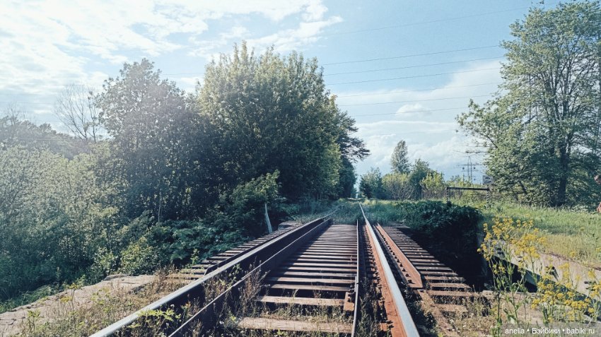 Дик. Железная дорога — Экшн (фото 10)